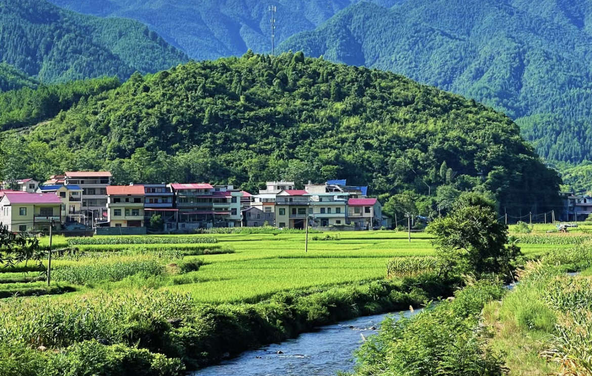 《新闻联播》关注海南热带雨林国家公园建设